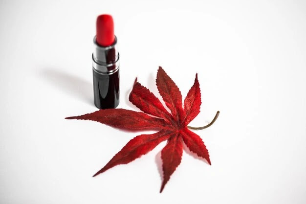 Best Lipstick Colours for Every Season and Occasion